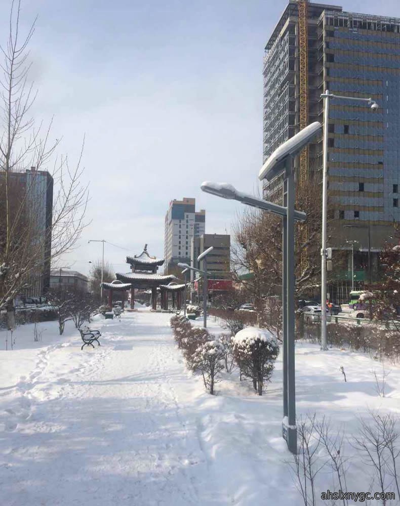 太阳能路灯