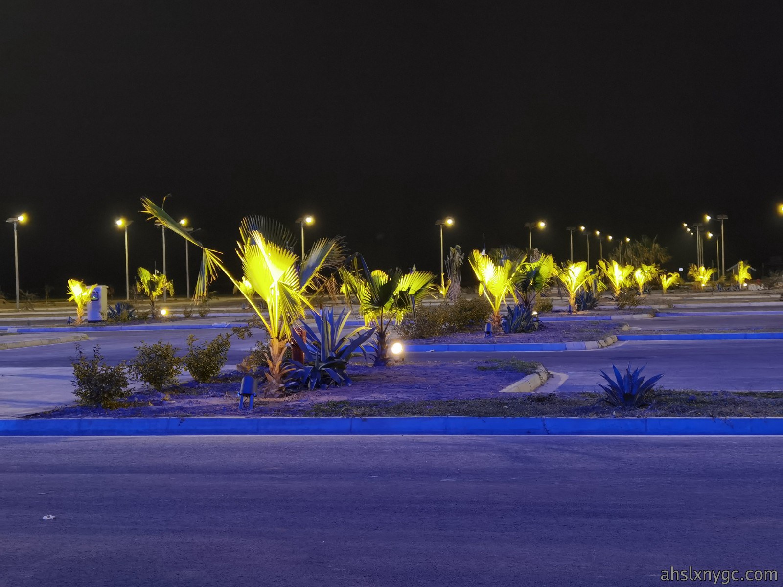16689974199368.jpg